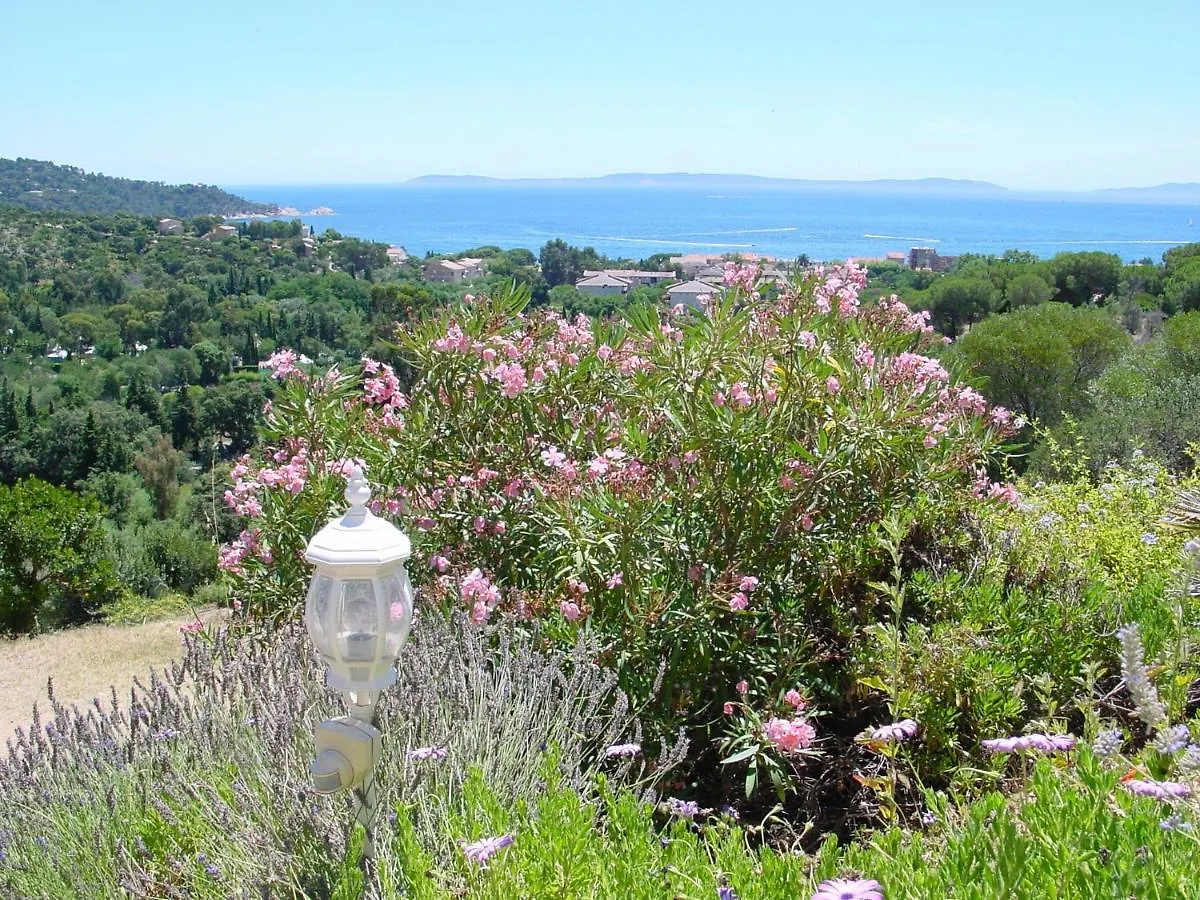 Azur Hotel Le Lavandou