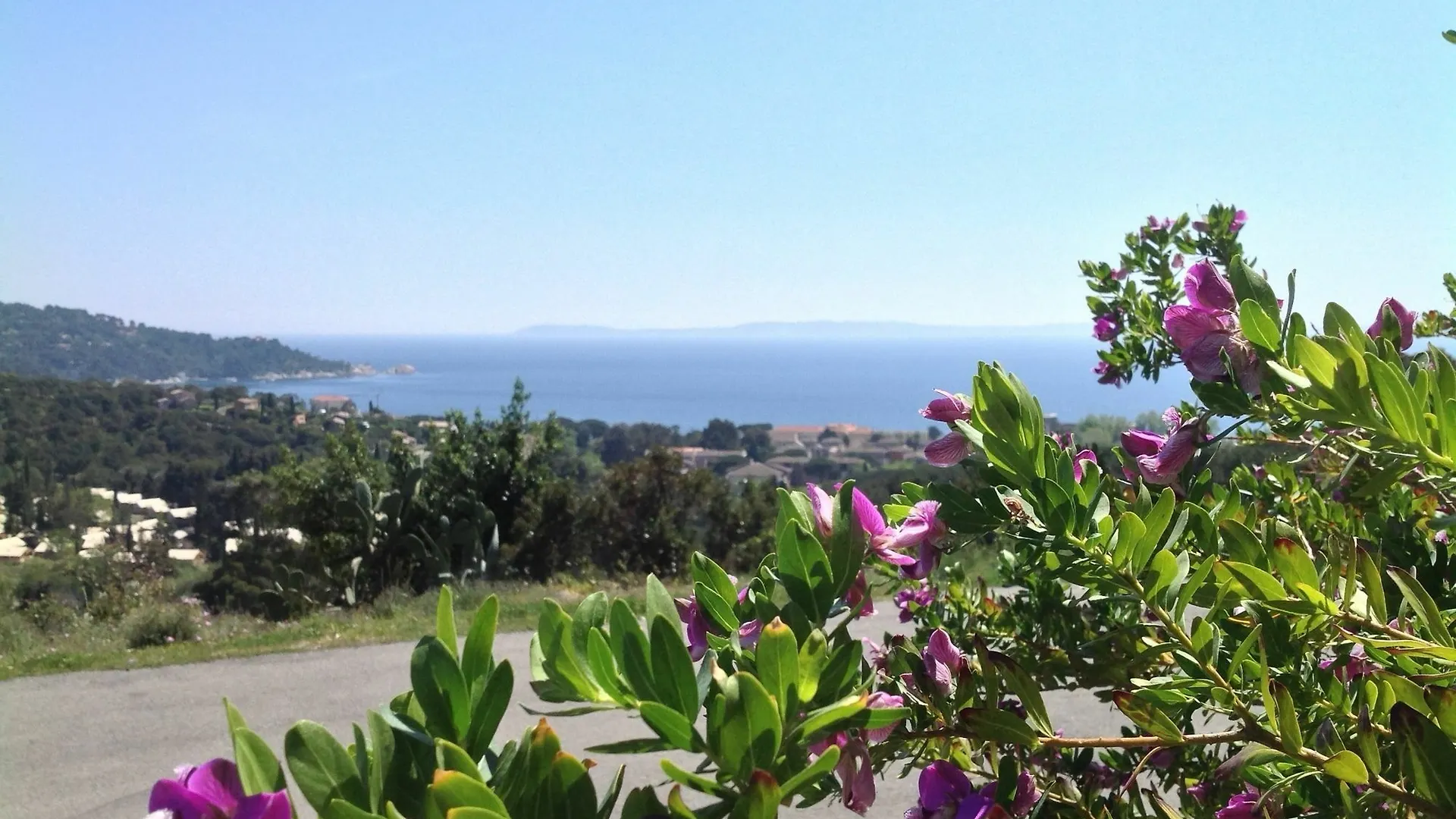 Azur Hotel Le Lavandou
