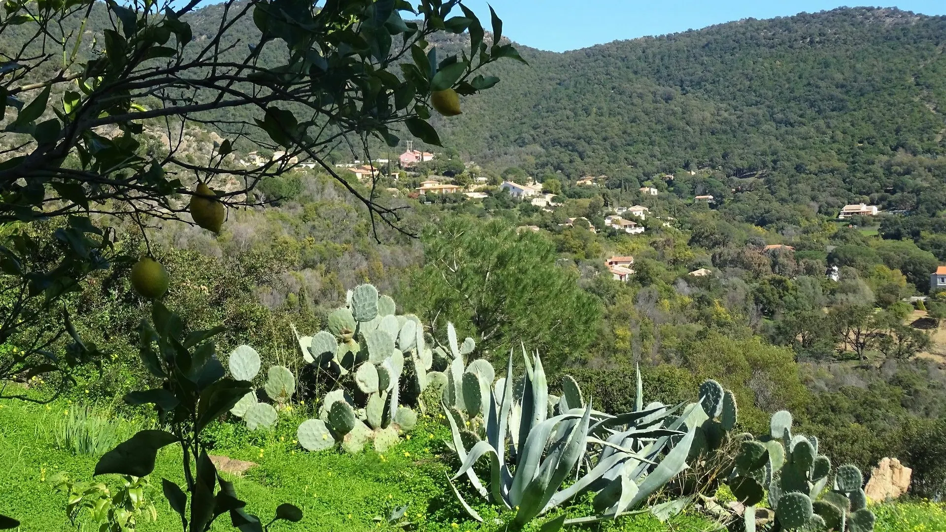 Azur Hotel Le Lavandou Francia
