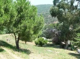 Azur Hotel Le Lavandou