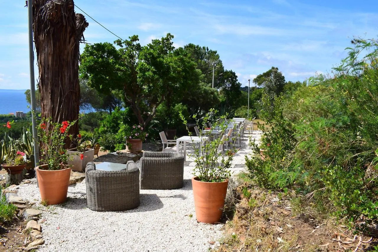 Azur Hotel Le Lavandou France
